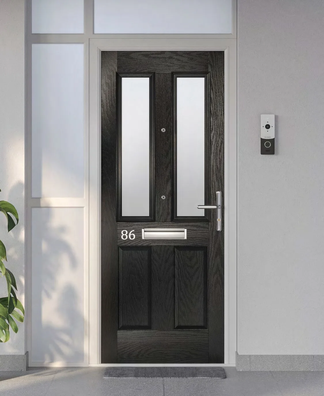 Door with sidelights and toplight in modern entrance setting