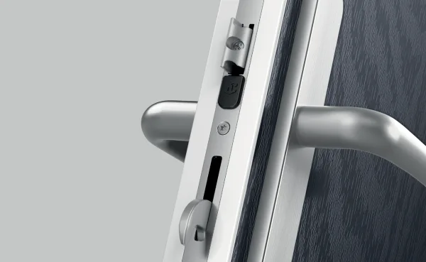 Door Hardware Details